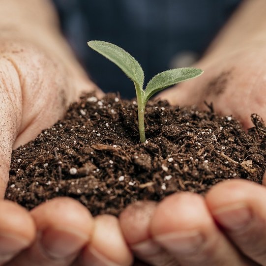 resilencia_climatica